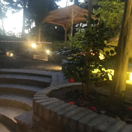 Hospital Bed & Breakfast